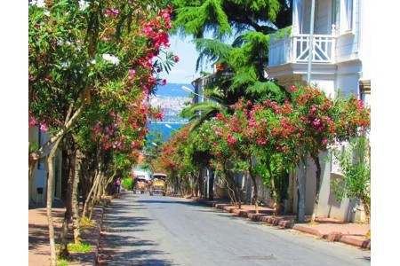 Büyükada Günübirlik Fotoğraf Çekimi Gezisi